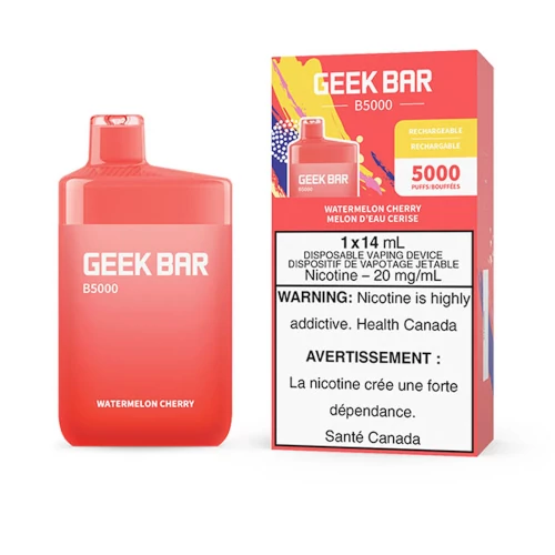 Review of Geek Bar B5000 Disposable Pod